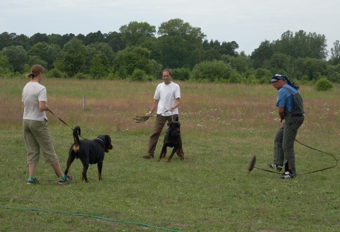 Training in Estonia 6/2007